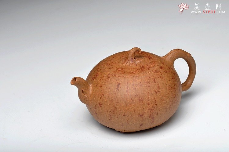 紫砂壶图片：蔡岩峰蜕变之作 新意心意 首创 全手野趣 - 宜兴紫砂壶网