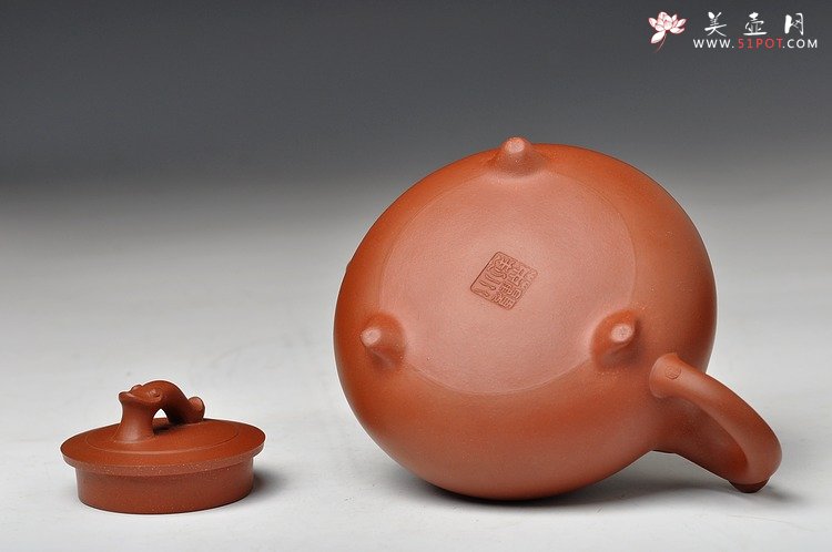 紫砂壶图片：龙头如意 线条流畅 送礼自用 - 宜兴紫砂壶网