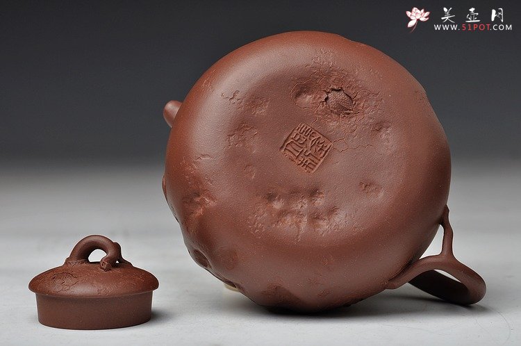 紫砂壶图片：孙金立 全手龙行龚春 精品代表作 丛林系列 - 宜兴紫砂壶网