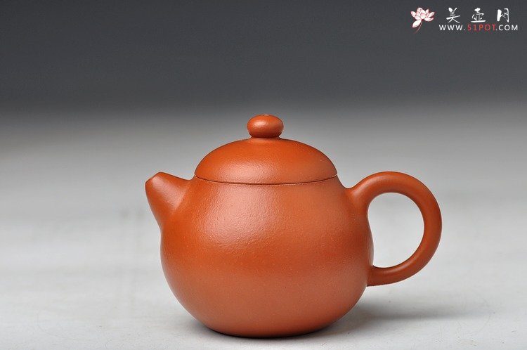 紫砂壶图片：徐亚春老师义拍作品 全手朱泥小文旦 雅安我们在一起  - 宜兴紫砂壶网