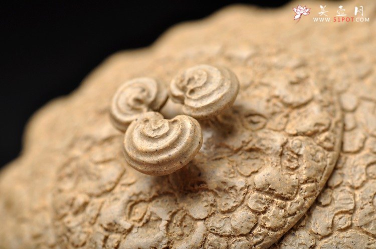 紫砂壶图片：邵惠雄风格 全手龚春 灵芝 薄胎 本山段泥 - 宜兴紫砂壶网