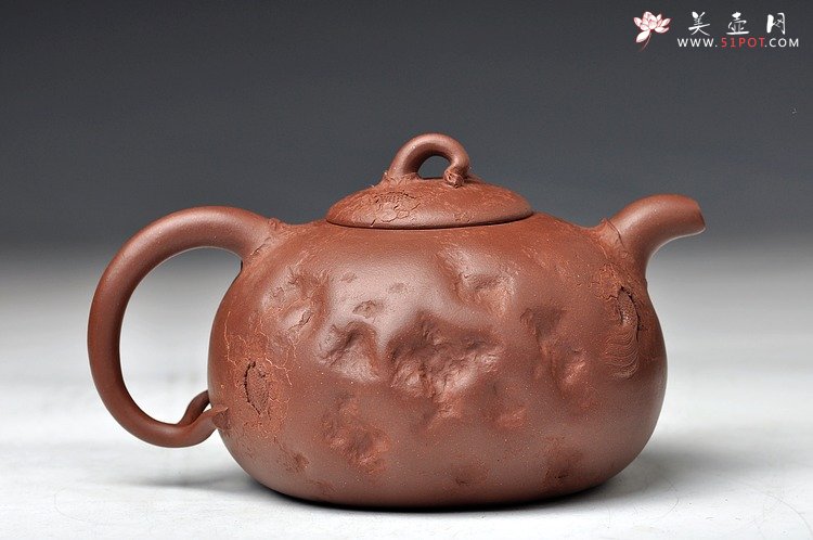 紫砂壶图片：孙金立 全手龙行龚春 精品代表作 丛林系列 - 宜兴紫砂壶网