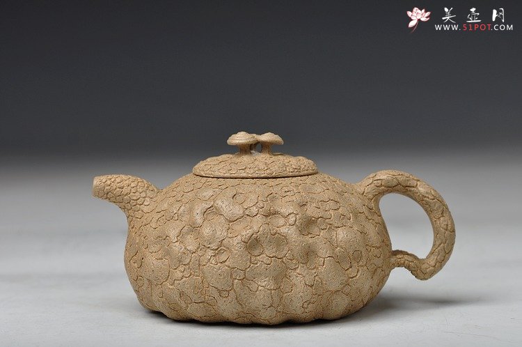 紫砂壶图片：邵惠雄风格 全手龚春 灵芝 薄胎 本山段泥 - 宜兴紫砂壶网