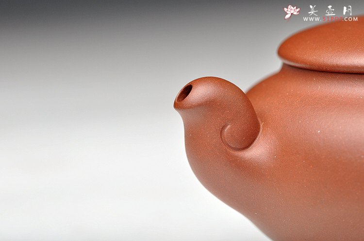 紫砂壶图片：容易让人恋上的新作  耐品清雅  一水情缘 - 宜兴紫砂壶网