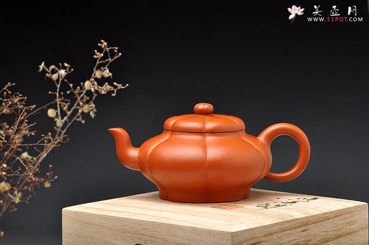 紫砂壶图片：酒虎最新作品 六瓣梅 黄金朱泥 精妙如花 - 宜兴紫砂壶网