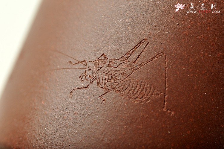 紫砂壶图片：石丁居士杯  油润紫泥  刻绘蟋蟀~ - 宜兴紫砂壶网