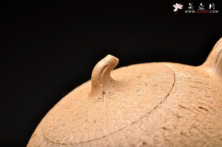 紫砂壶图片：蔡岩峰代表作 古拙中透灵气 全手工橘瓜 肌理丰润 - 宜兴紫砂壶网