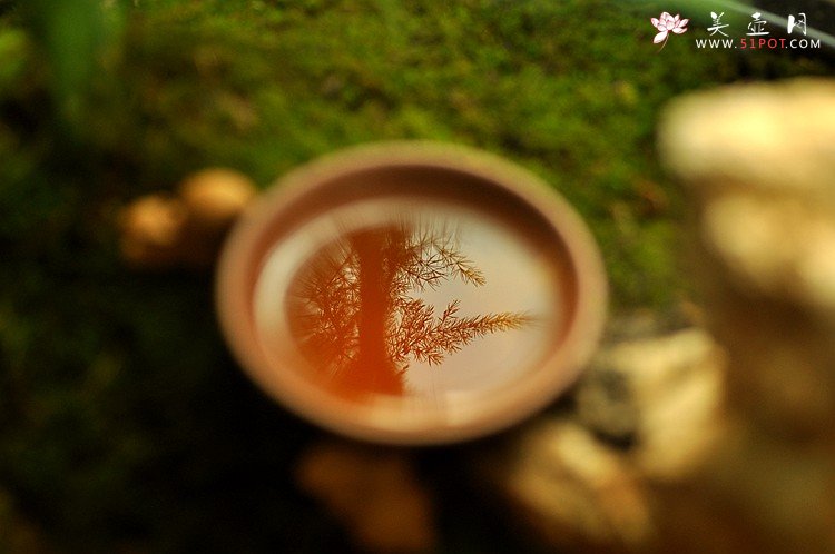 紫砂壶图片：石丁秋韵杯  - 宜兴紫砂壶网