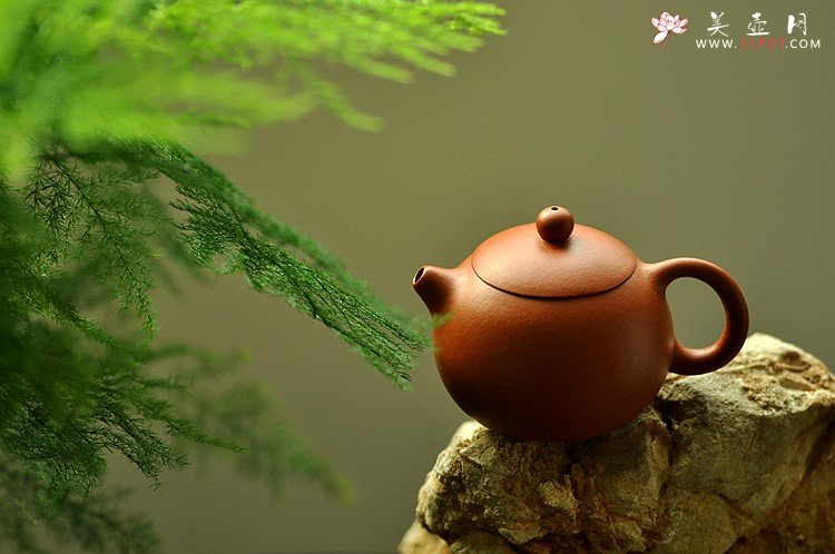 紫砂壶图片：秋冬款o(∩_∩)o 一手迷你壶 优质朱泥 娇小西施 - 宜兴紫砂壶网