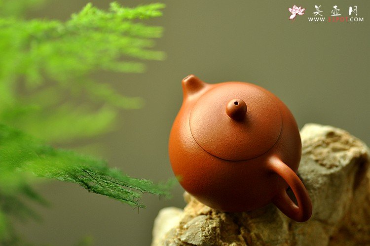 紫砂壶图片：秋冬款o(∩_∩)o 一手迷你壶 优质朱泥 娇小西施 - 宜兴紫砂壶网