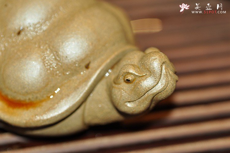 紫砂壶图片：栩栩如生 龟虽寿 - 宜兴紫砂壶网