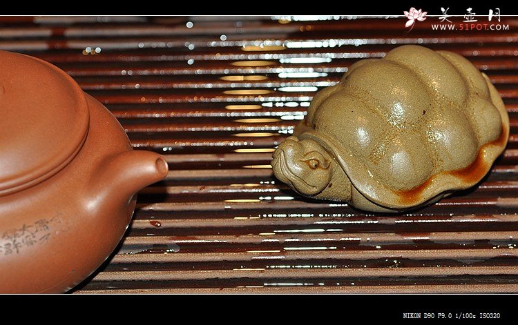 紫砂壶图片：栩栩如生 龟虽寿 - 宜兴紫砂壶网