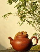 紫砂壶图片：饱满圆润 优质降坡泥 全手灵丰 遥想兰亭下清风满竹林 - 宜兴紫砂壶网