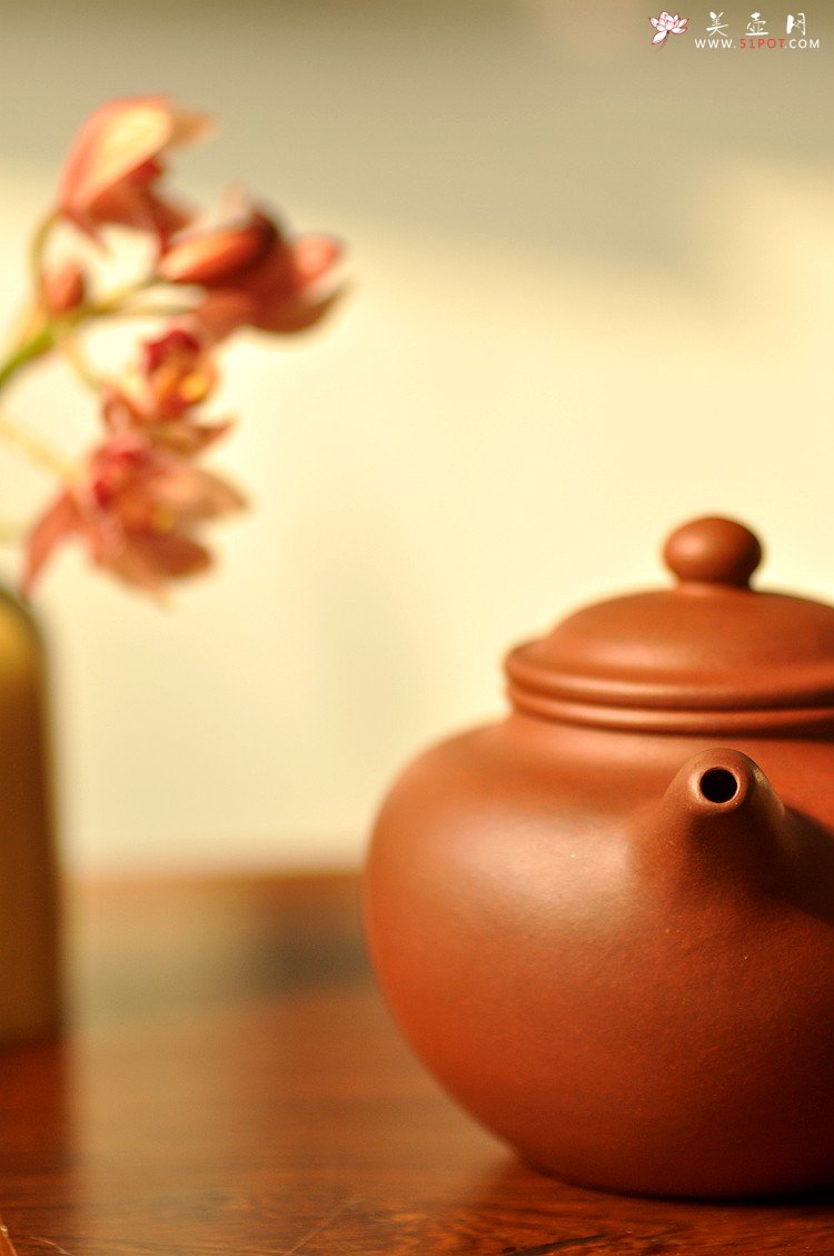 紫砂壶图片：极易泡养红皮龙 全手红莲 清秀婉约 进步明显 - 宜兴紫砂壶网