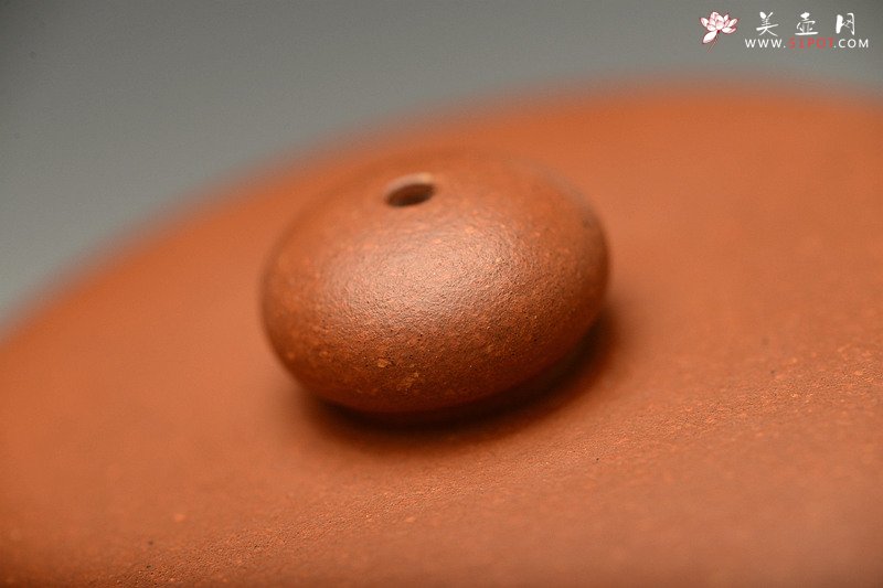 紫砂壶图片：瞿斌原创设计 秀丽不失可爱 静雅 守拙 黄龙山原矿红泥 - 宜兴紫砂壶网