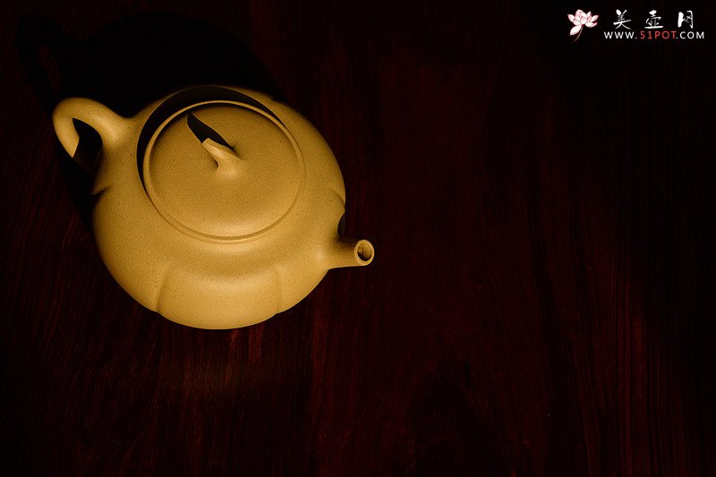 紫砂壶图片：潘小东 全手筋囊新品 金瓜  - 宜兴紫砂壶网