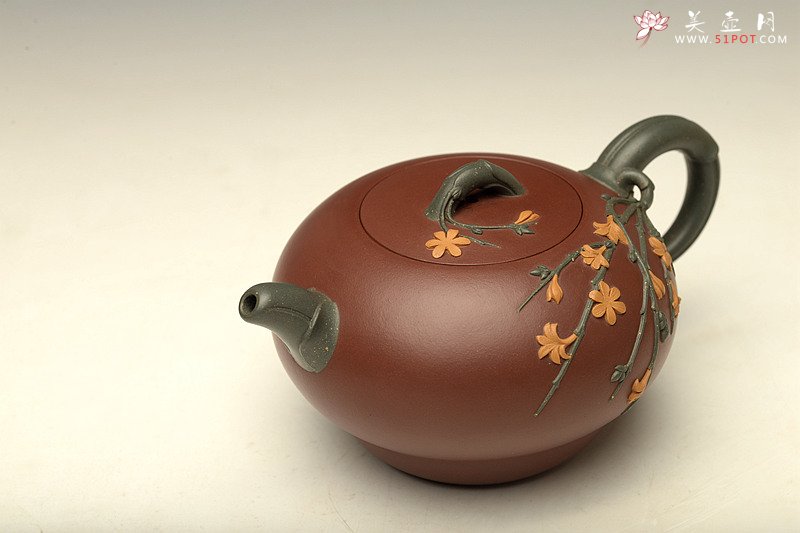 紫砂壶图片：当今实力派黄云云作品  迎春花 - 宜兴紫砂壶网