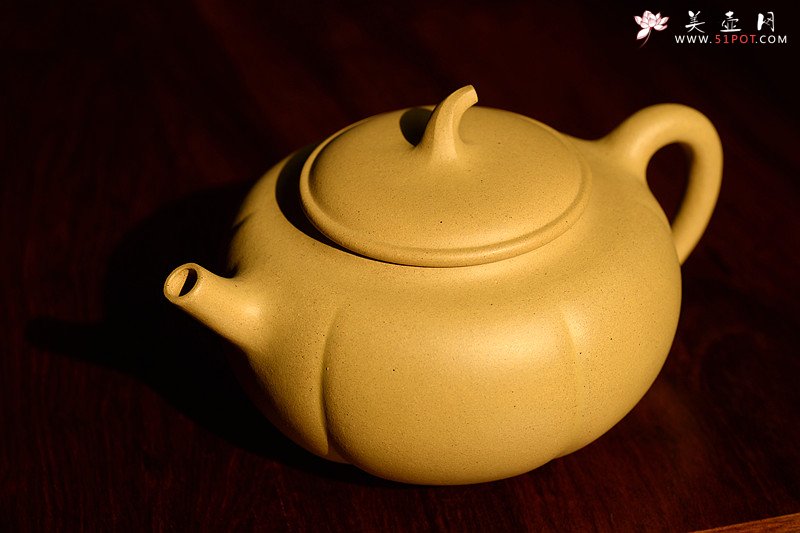 紫砂壶图片：潘小东 全手筋囊新品 金瓜  - 宜兴紫砂壶网