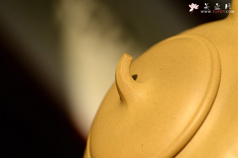 紫砂壶图片：潘小东 全手筋囊新品 金瓜  - 宜兴紫砂壶网