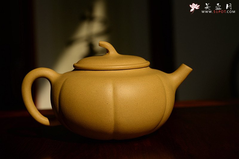 紫砂壶图片：潘小东 全手筋囊新品 金瓜  - 宜兴紫砂壶网