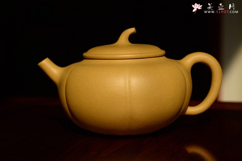 紫砂壶图片：潘小东 全手筋囊新品 金瓜  - 宜兴紫砂壶网