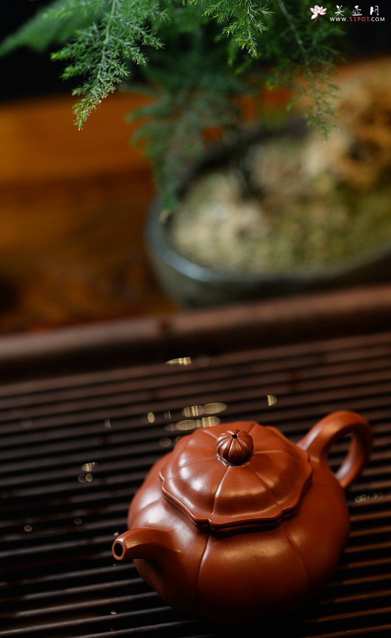 紫砂壶图片：酒虎甲午新作 难度极大  全手工朱泥葵仿古 - 宜兴紫砂壶网