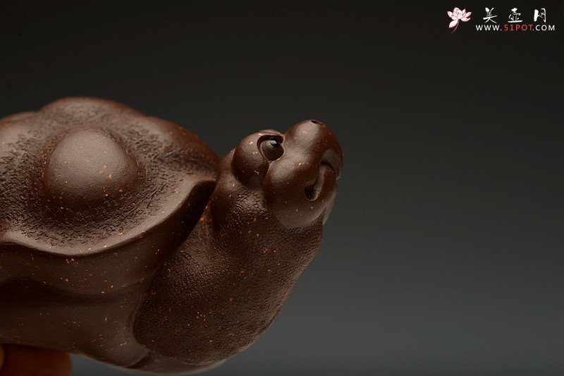 紫砂壶图片：寿龟送灵芝~ 寿上加寿o(∩_∩)o  憨态可掬 做工精致 用料讲究~ - 宜兴紫砂壶网