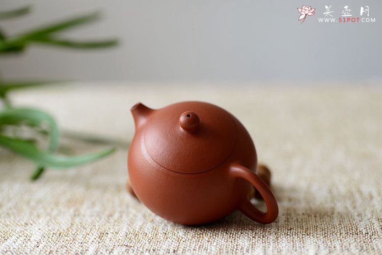 紫砂壶图片：风韵各不同o(∩_∩)o   黄金朱泥之全手西施 传统全手的魅力 - 宜兴紫砂壶网