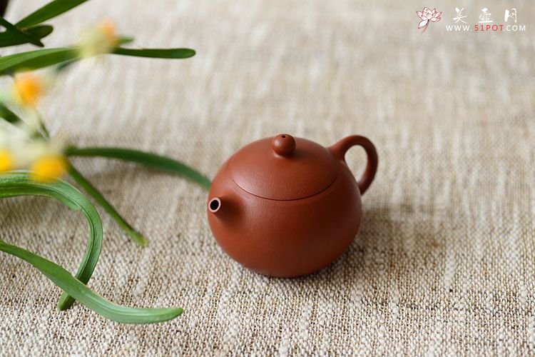 紫砂壶图片：风韵各不同o(∩_∩)o   黄金朱泥之全手西施 传统全手的魅力 - 宜兴紫砂壶网