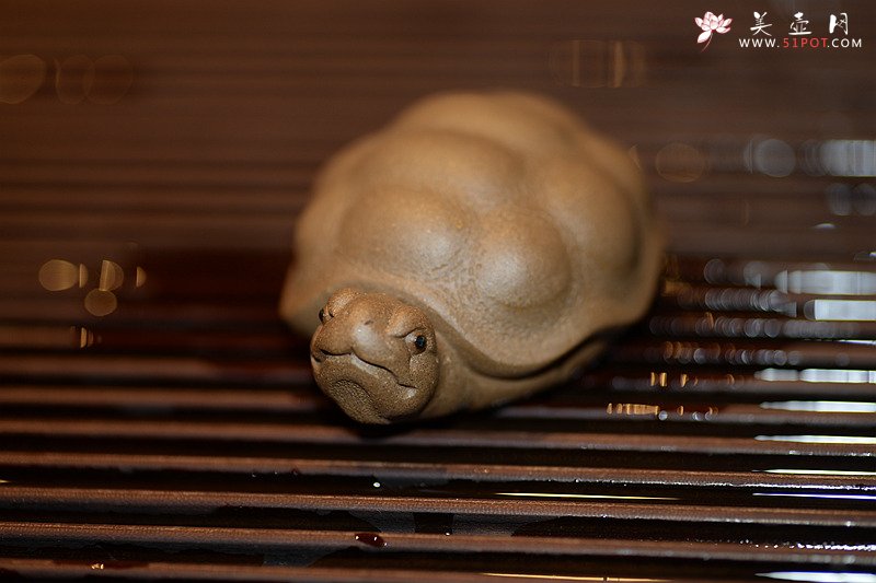 紫砂壶图片：龟虽寿之小龟o(∩_∩)o  茶盘宠物~ - 宜兴紫砂壶网