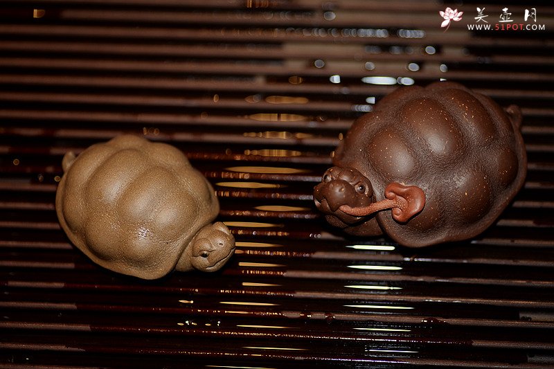 紫砂壶图片：龟虽寿之小龟o(∩_∩)o  茶盘宠物~ - 宜兴紫砂壶网