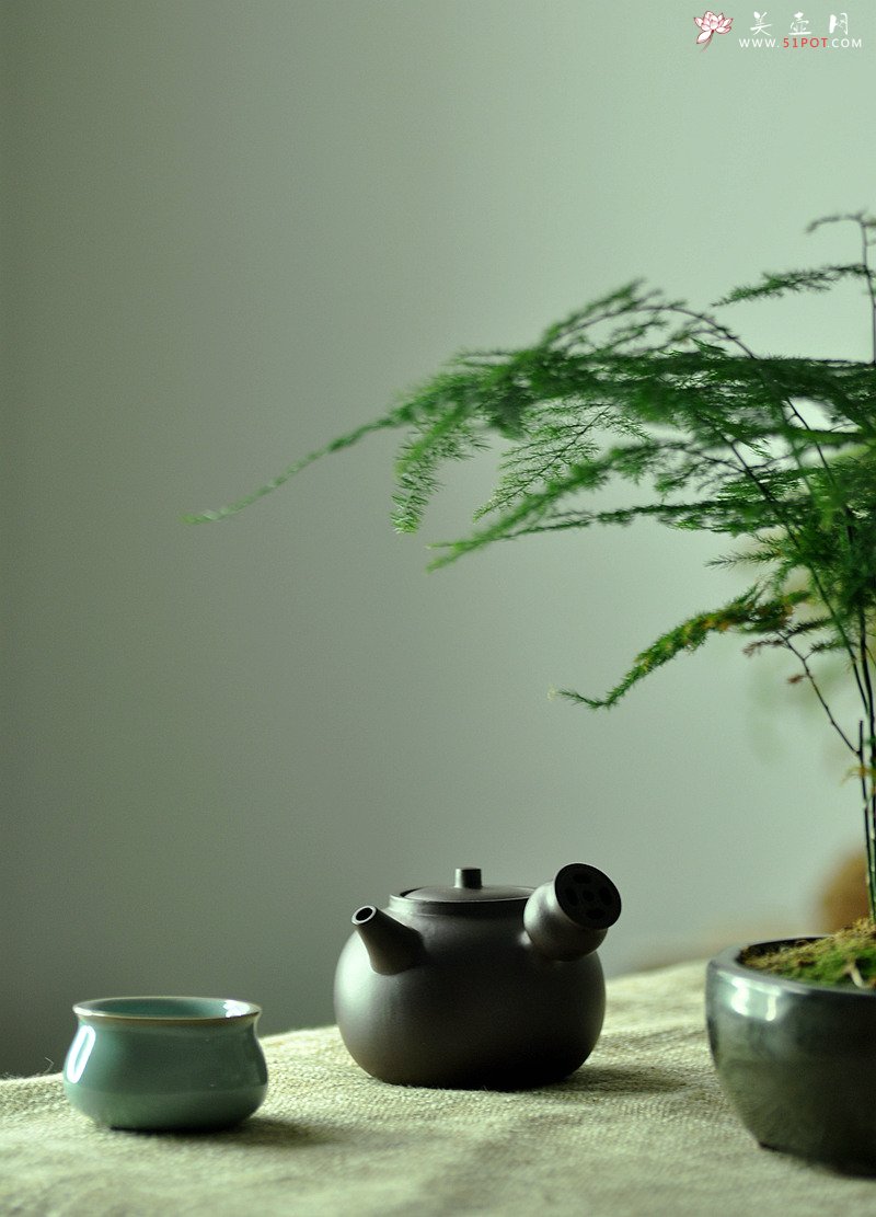 紫砂壶图片：金钱镂空~ 煮茶品茗 侧把巨轮 夏日风情~  电陶炉烧水 - 宜兴紫砂壶网