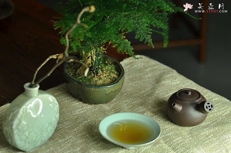 紫砂壶图片：金钱镂空~ 煮茶品茗 侧把巨轮 夏日风情~  电陶炉烧水 - 宜兴紫砂壶网