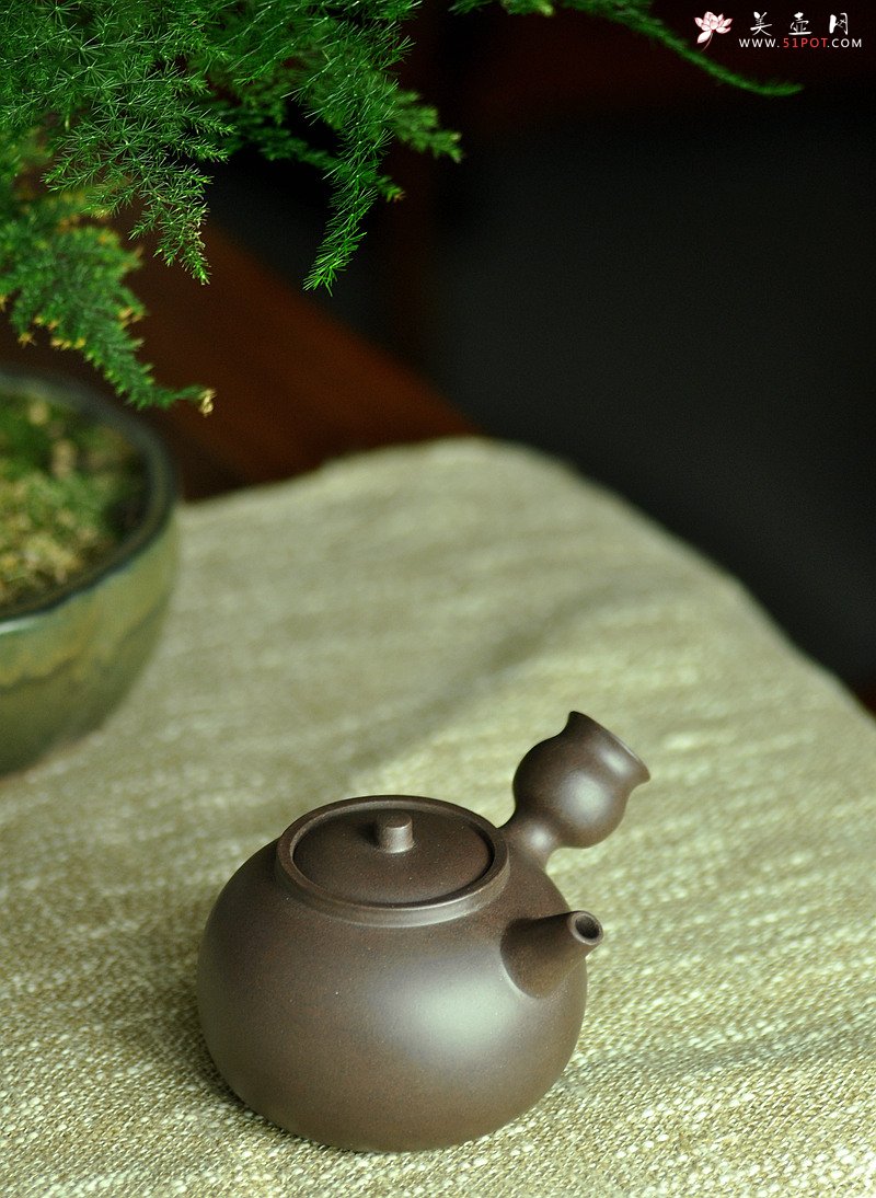 紫砂壶图片：金钱镂空~ 煮茶品茗 侧把巨轮 夏日风情~  电陶炉烧水 - 宜兴紫砂壶网