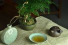 紫砂壶图片：金钱镂空~ 煮茶品茗 侧把巨轮 夏日风情~  电陶炉烧水 - 宜兴紫砂壶网