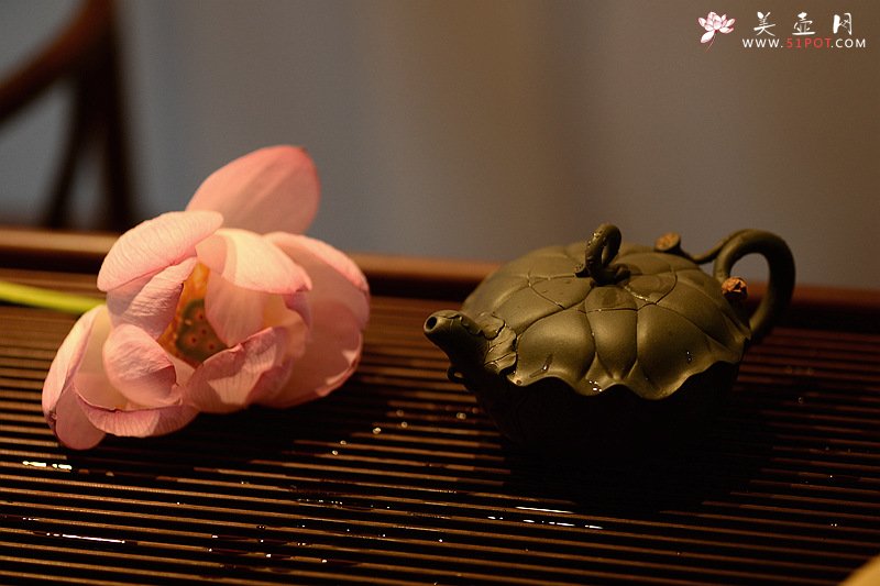 紫砂壶图片：习习清风 莲莲动情o(∩_∩)o  荷叶清风 孙伟强张新亚原创新品 夏雨荷 - 宜兴紫砂壶网