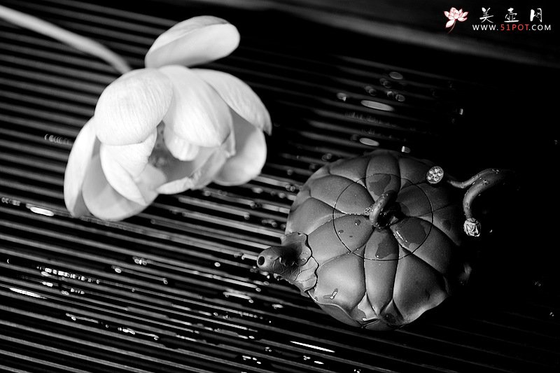 紫砂壶图片：习习清风 莲莲动情o(∩_∩)o  荷叶清风 孙伟强张新亚原创新品 夏雨荷 - 宜兴紫砂壶网