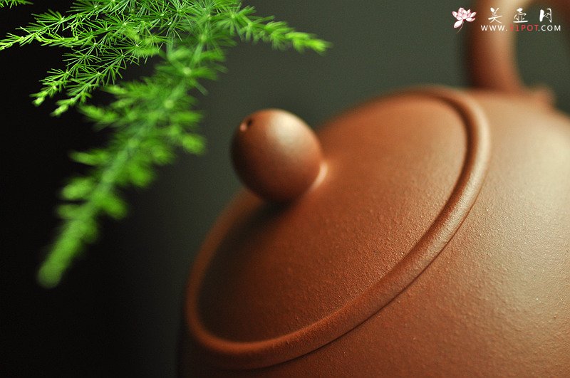 紫砂壶图片：款款深情 线条优美  夏艳美人~ 茶盘尤物o(∩_∩)o  - 宜兴紫砂壶网