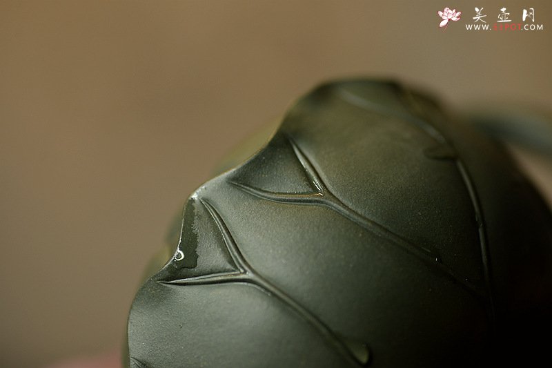 紫砂壶图片：习习清风 莲莲动情o(∩_∩)o  荷叶清风 孙伟强张新亚原创新品 夏雨荷 - 宜兴紫砂壶网