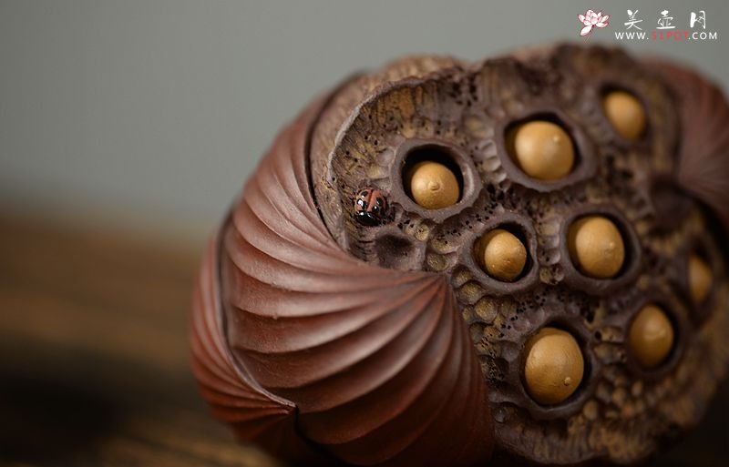 紫砂壶图片：美壶特惠 文雅茶宠 全手工精制  经典莲蓬 - 宜兴紫砂壶网