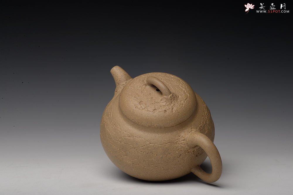 紫砂壶图片：创意小花 小巧可人 优质段泥 瓜韵 - 宜兴紫砂壶网