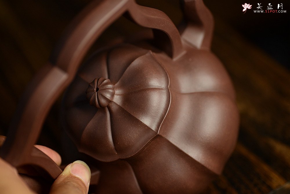 紫砂壶图片：筋囊实力派蔡旭伟力作  大美肌理 张力十足 全手星月提梁 - 宜兴紫砂壶网