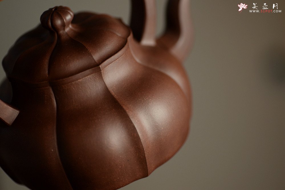 紫砂壶图片：筋囊实力派蔡旭伟力作  大美肌理 张力十足 全手星月提梁 - 宜兴紫砂壶网