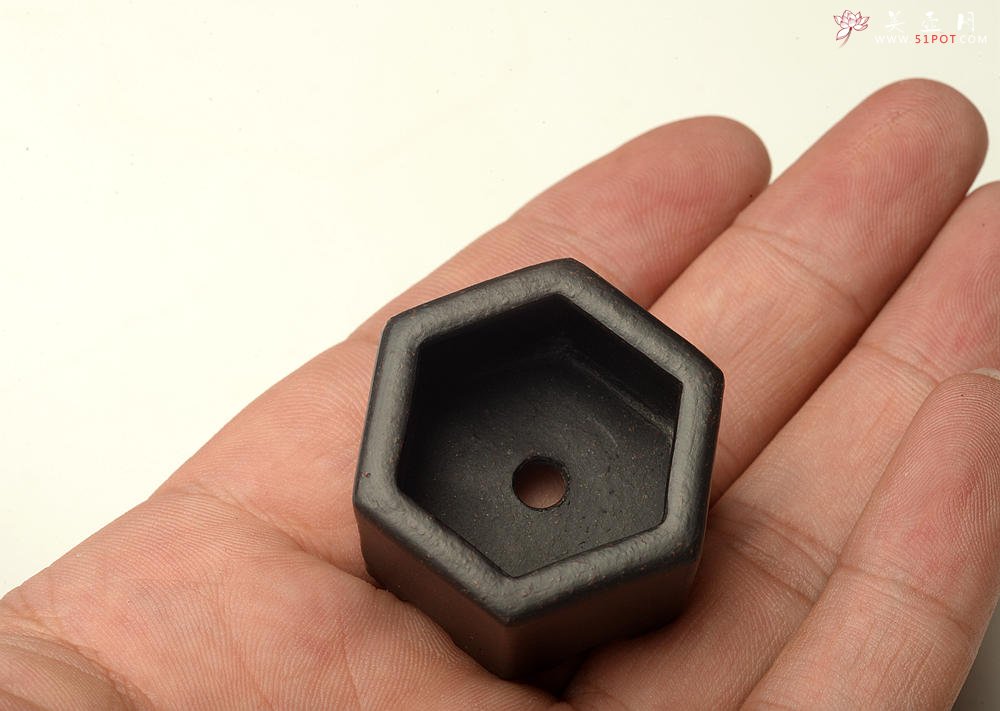 紫砂壶图片：张秋平全手微型花盆 漂亮好玩 - 宜兴紫砂壶网