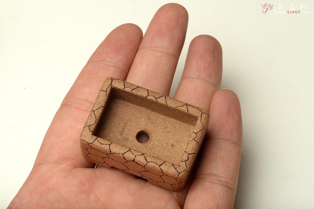 紫砂壶图片：张秋平  全手豹纹微型花盆 漂亮好玩 - 宜兴紫砂壶网