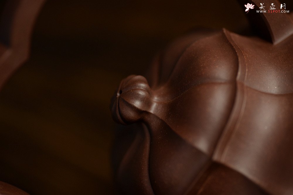 紫砂壶图片：筋囊实力派蔡旭伟力作  大美肌理 张力十足 全手星月提梁 - 宜兴紫砂壶网