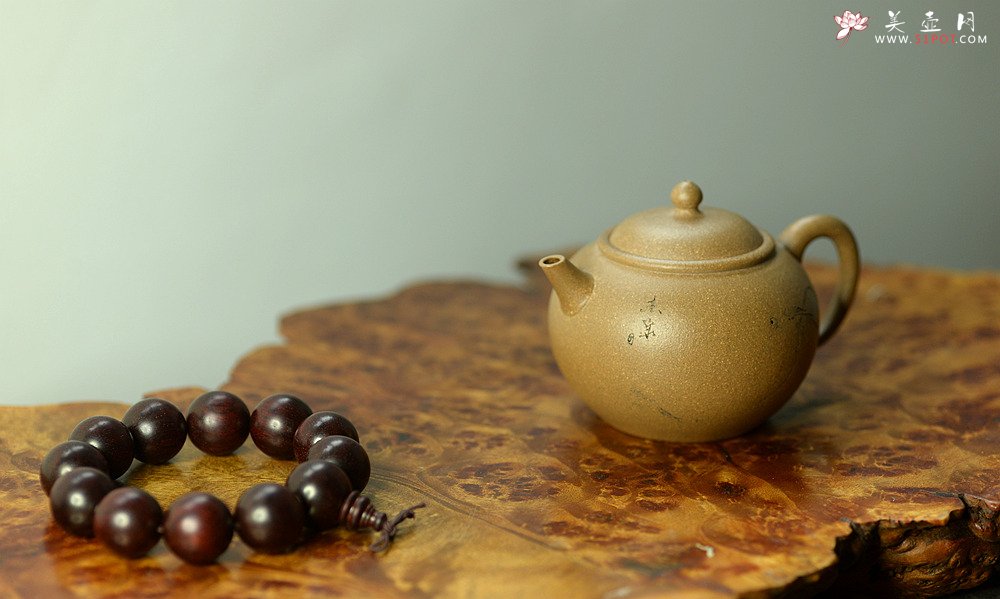 紫砂壶图片：陈进作品  圆润饱满 实用有趣 全手圆珠 - 宜兴紫砂壶网