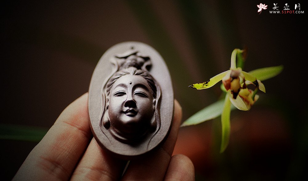 紫砂壶图片：优质紫泥  玉观音 不再接受定做 - 宜兴紫砂壶网