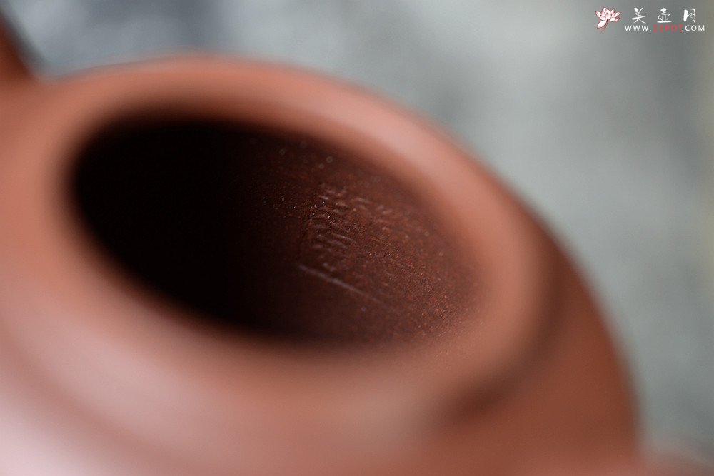 紫砂壶图片：道洪风格之全手【敦】 潜力股蒋柯作品 珠圆玉润  - 宜兴紫砂壶网