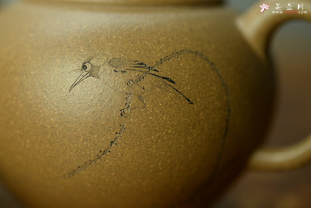 紫砂壶图片：陈进作品  圆润饱满 实用有趣 全手圆珠 - 宜兴紫砂壶网